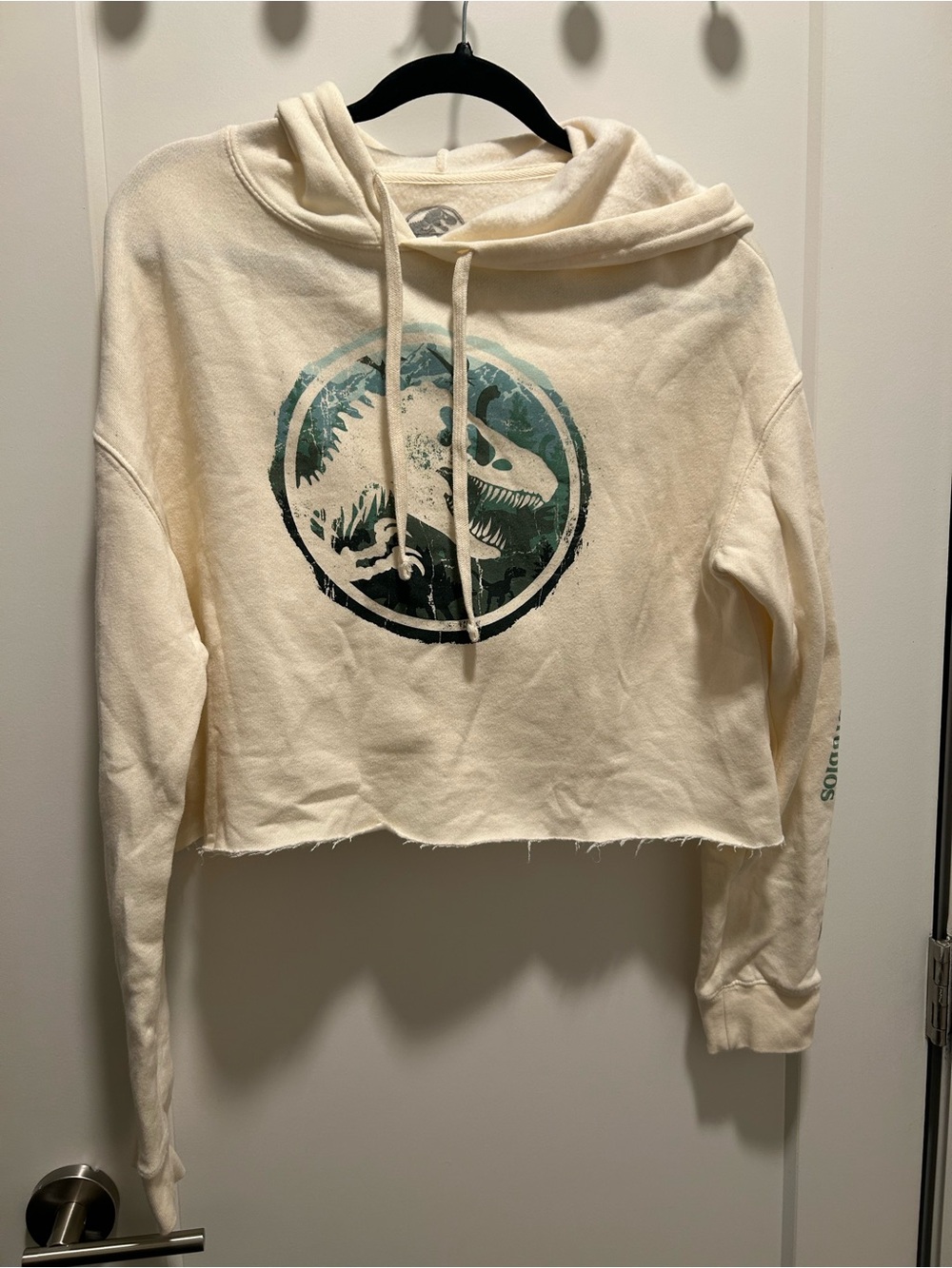 Universal Studios Jurassic World Distressed Logo Raw Hem Crop Hoodie-Medium